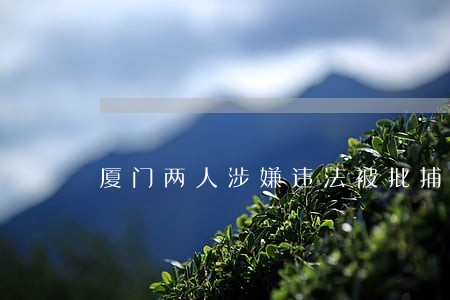 厦门两人涉嫌违法被批捕 厦门两人涉嫌违法被批捕