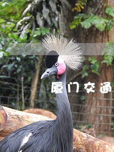 厦门交通违法罚款怎么交 厦门交通违法罚款怎么交