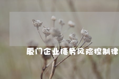 厦门企业债务风险控制律师收费 厦门企业债务风险控制律师收费