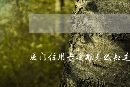 厦门信用卡逾期怎么知道上征信 厦门信用卡逾期怎么知道上征信