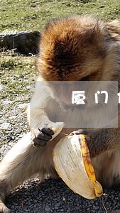厦门信用卡逾期案 厦门信用卡逾期案