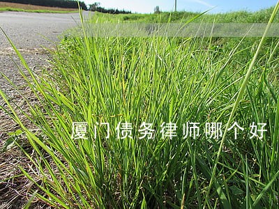 厦门债务律师哪个好 厦门债务律师哪个好