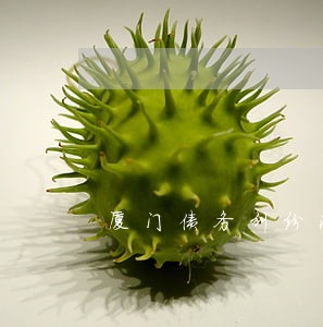 厦门债务纠纷法律咨询 厦门债务纠纷法律咨询