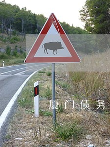 厦门债务经济纠纷律师 厦门债务经济纠纷律师