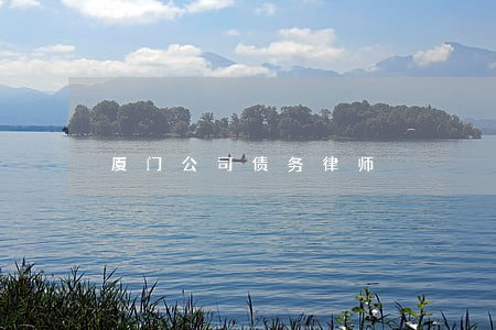 厦门公司债务律师 厦门公司债务律师