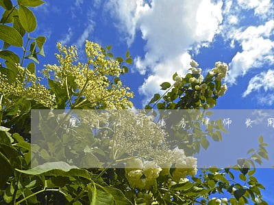 厦门公司债务律师费用 厦门公司债务律师费用