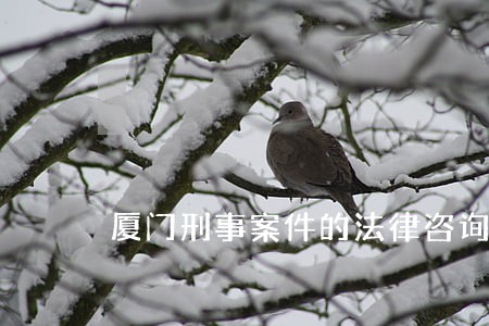 厦门刑事案件的法律咨询