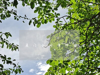 厦门合同律师咨询 厦门合同律师咨询