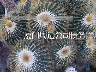 厦门周边公司债务律师介绍 厦门周边公司债务律师介绍