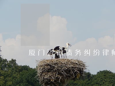 厦门咨询债务纠纷律师 厦门咨询债务纠纷律师