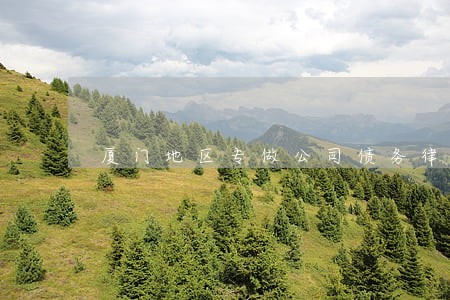 厦门地区专做公司债务律师 厦门地区专做公司债务律师
