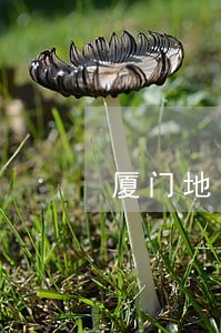 厦门地区海沧债务律师顾问 厦门地区海沧债务律师顾问