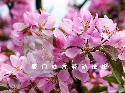 厦门地方劳动法规