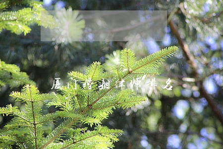 厦门婚姻律师排名 厦门婚姻律师排名