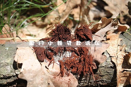 厦门小额贷款诉讼 厦门小额贷款诉讼