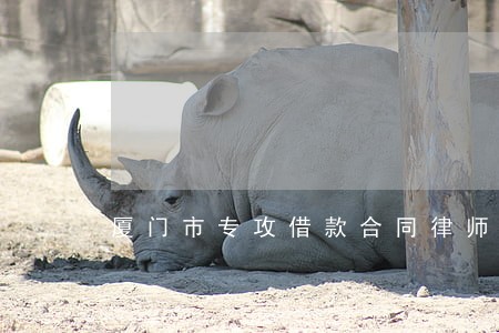 厦门市专攻借款合同律师 厦门市专攻借款合同律师