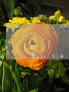 厦门市前几任司法局长 厦门市前几任司法局长
