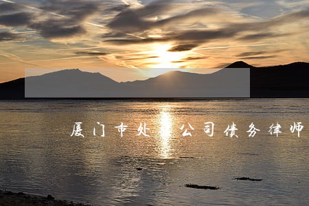 厦门市处理公司债务律师
