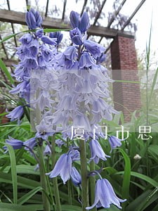 厦门市思明债务律师顾问在线咨询 厦门市思明债务律师顾问在线咨询
