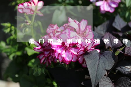 厦门市思明债权债务律师电话咨询 厦门市思明债权债务律师电话咨询