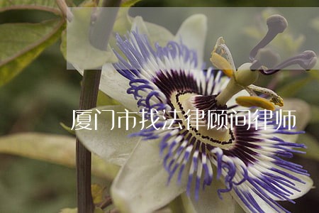 厦门市找法律顾问律师 厦门市找法律顾问律师