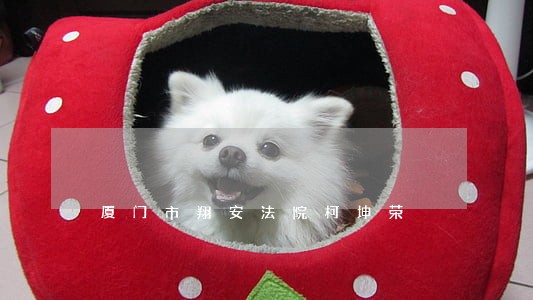 厦门市翔安法院柯坤荣 厦门市翔安法院柯坤荣