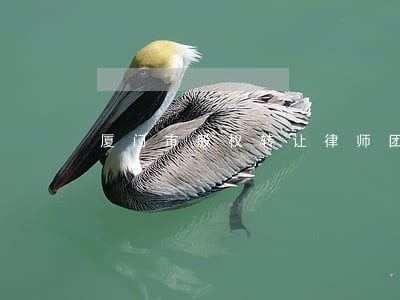 厦门市股权转让律师团队 厦门市股权转让律师团队