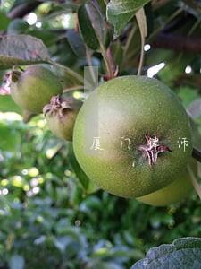 厦门律师工伤咨询电话 厦门律师工伤咨询电话