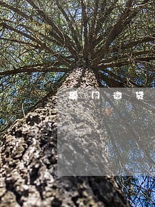厦门微贷网逾期车被开走 厦门微贷网逾期车被开走