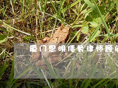 厦门思明债务律师顾问哪个好 厦门思明债务律师顾问哪个好