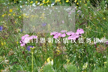 厦门思明区债权债务律师哪个好 厦门思明区债权债务律师哪个好