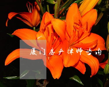 厦门房产律师咨询 厦门房产律师咨询