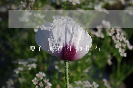 厦门房产律师排行 厦门房产律师排行