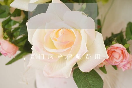 厦门房产律师费用 厦门房产律师费用
