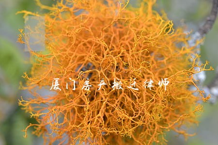 厦门房产搬迁律师 厦门房产搬迁律师