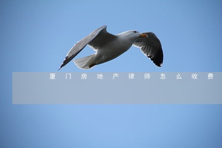 厦门房地产律师怎么收费 厦门房地产律师怎么收费