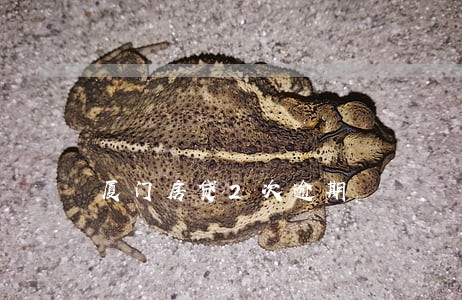 厦门房贷2次逾期 厦门房贷2次逾期
