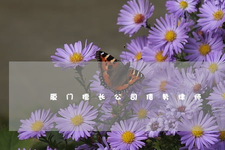 厦门擅长公司债务律师 厦门擅长公司债务律师