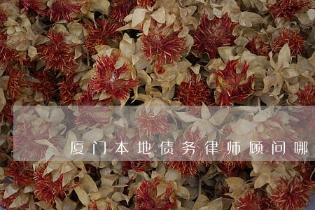 厦门本地债务律师顾问哪里找 厦门本地债务律师顾问哪里找