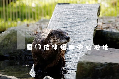 厦门法律援助中心地址 厦门法律援助中心地址
