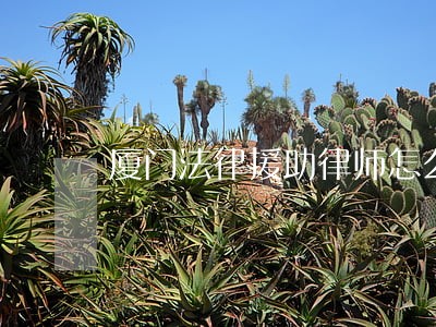 厦门法律援助律师怎么样
