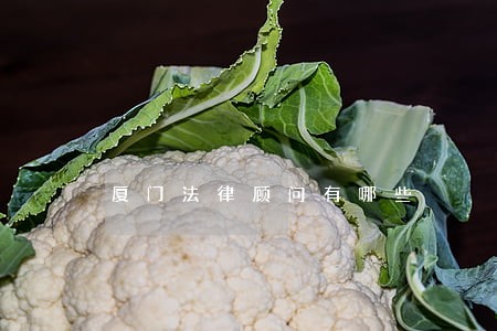 厦门法律顾问有哪些