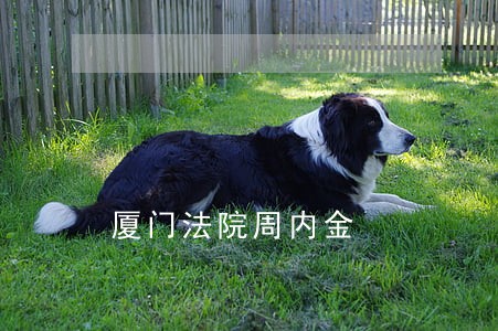 厦门法院周内金 厦门法院周内金