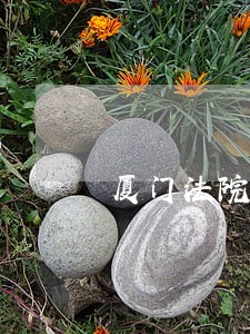 厦门法院张志猛 厦门法院张志猛
