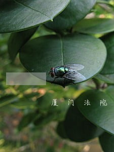厦门法院有几个执行局