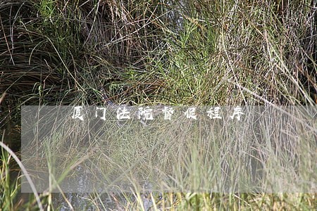 厦门法院督促程序 厦门法院督促程序