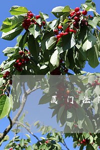 厦门法院网上立案指南 厦门法院网上立案指南