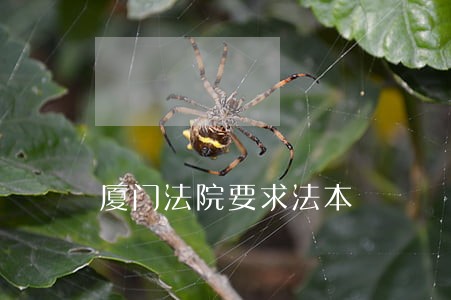 厦门法院要求法本