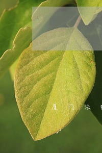 厦门法院近期整理公房占用 厦门法院近期整理公房占用