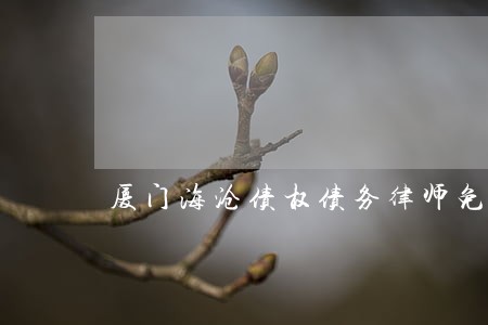 厦门海沧债权债务律师免费咨询 厦门海沧债权债务律师免费咨询